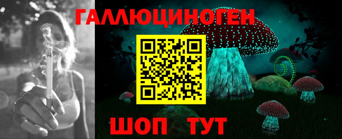 Псилоцибиновые грибы MAGIC MUSHROOMS Алейск